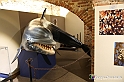 VBS_9137 - Museo Paleontologico - Asti